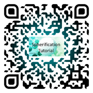 Right QR
